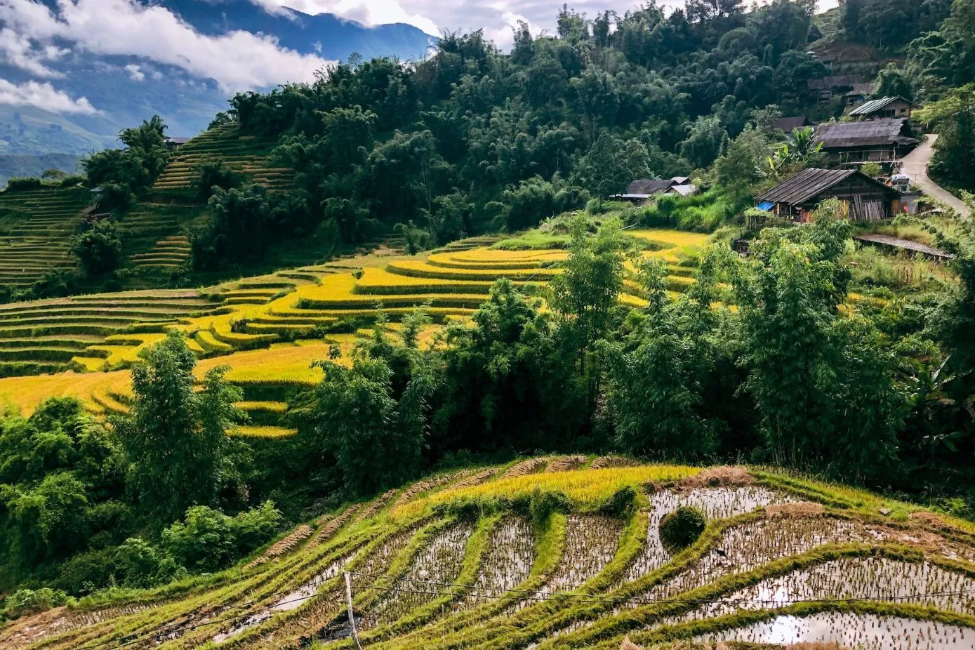 Best Time to Visit Vietnam - Sapa