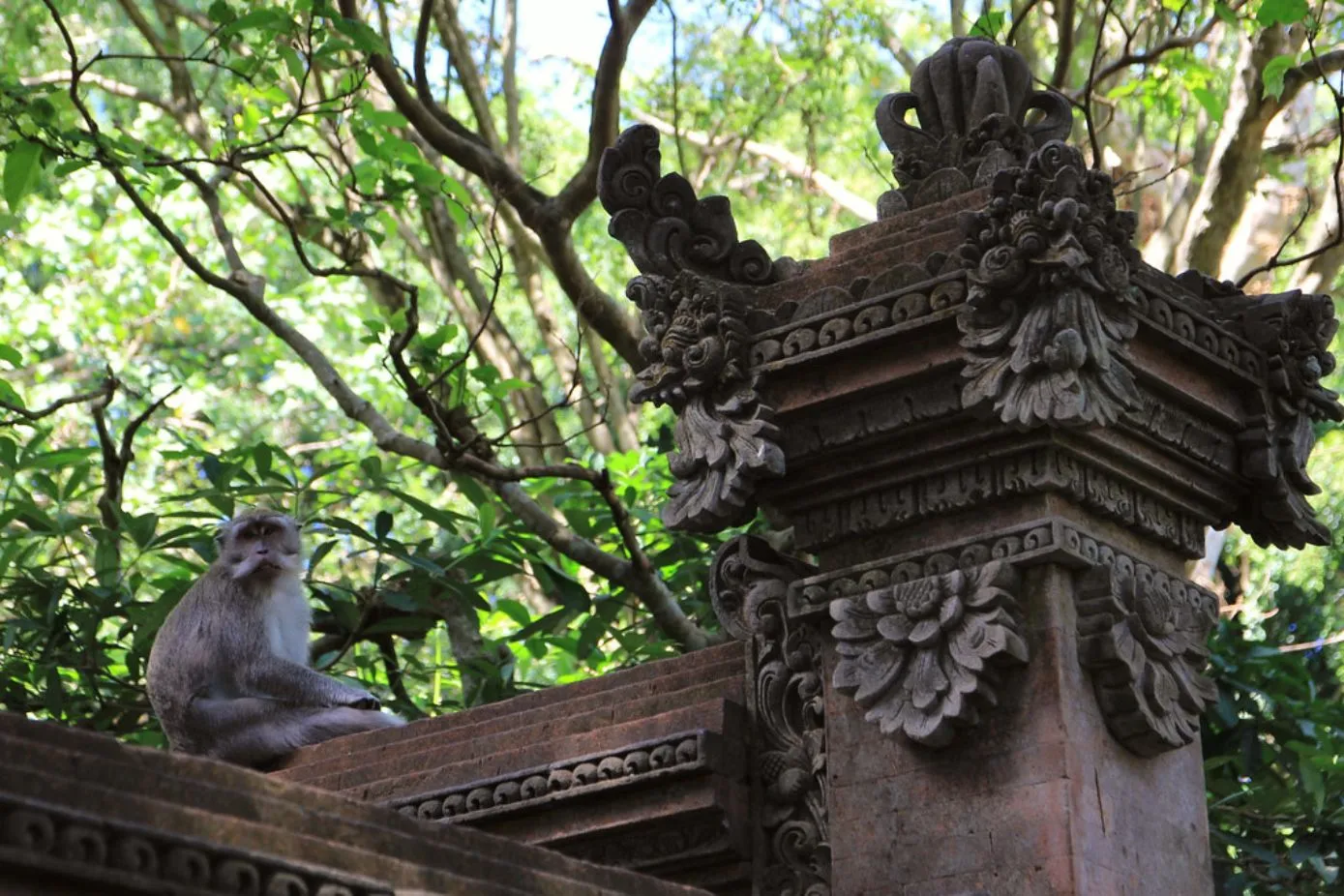 Ubud Monkey Forest