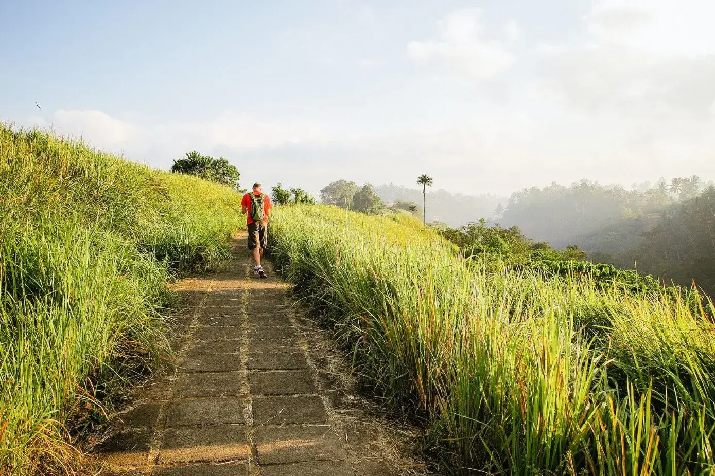 Campuhan Ridge Walk